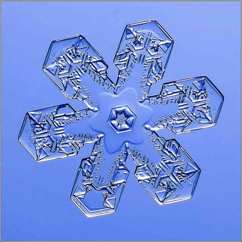List Of Snowflake Shapes And Patterns