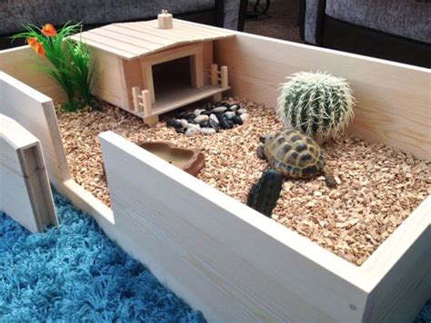 Diy Tortoise Habitat Indoor Housing For Tortoises Tortoises Are