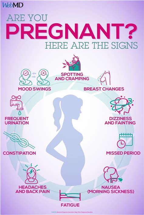 Early Pregnancy Symptoms Timeline
