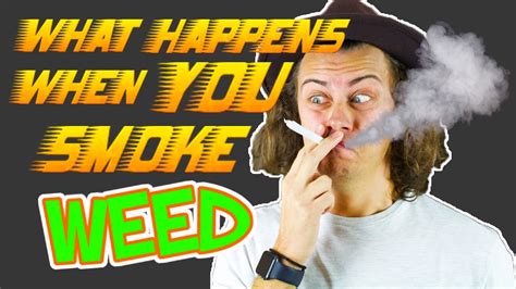 what happens when you smoke weed travelling in amsterdam part 1 youtube