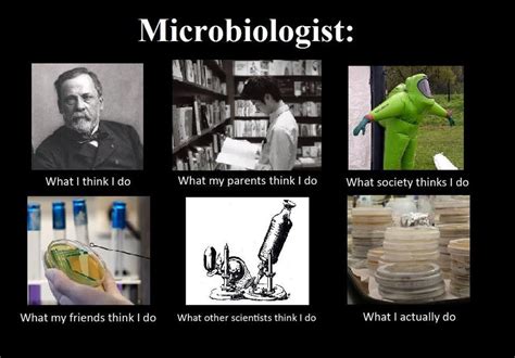 Medical Laboratory And Biomedical Science Microbiologist Medical