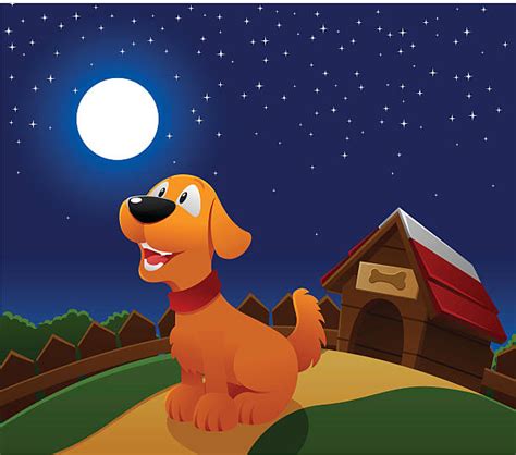 What Makes Dogs Bark At Night