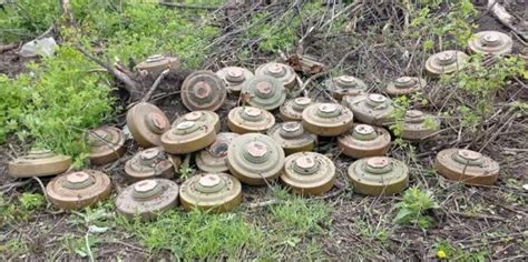 Ukrainian Military Reveals Garbage And Ammunition Left By Invaders
