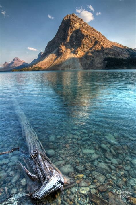 Crystal Clear Bow Lake Off The Icefields Parkway Alberta Canada