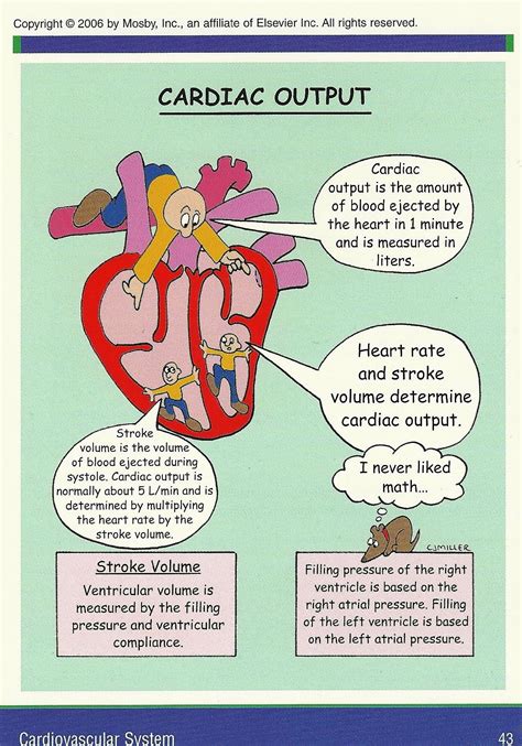 Cardiac Output Chart