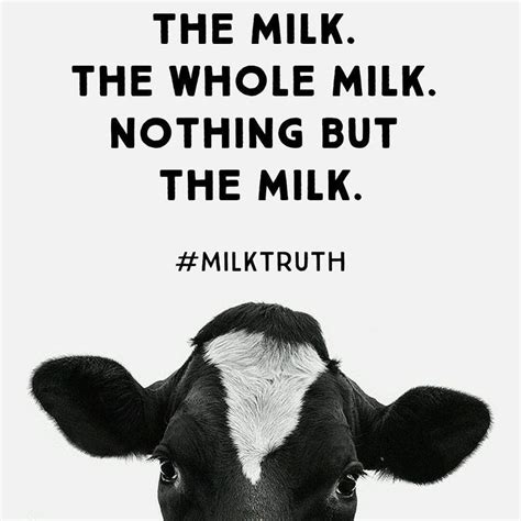 Pin By Gadriels Stories On Hello We Are The Cows Dairy Farmer Cow Quotes Dairy Farms