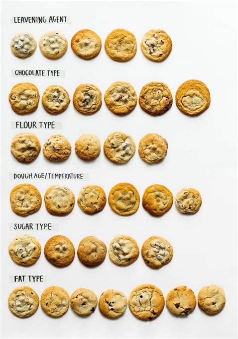 buzzfeed s guide to making the ultimate chocolate chip cookies