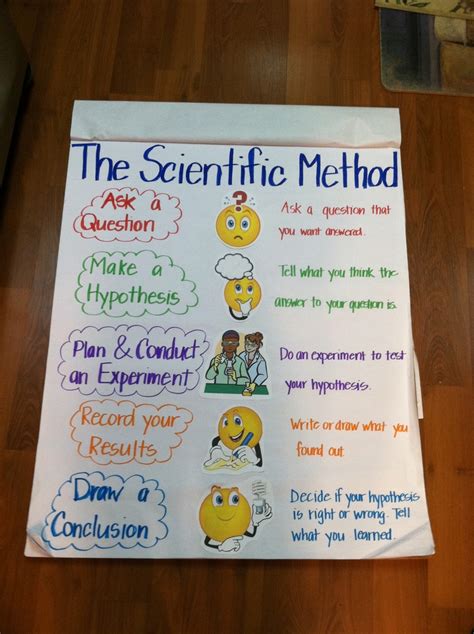 The Scientific Method Is Displayed On A Bulletin Board