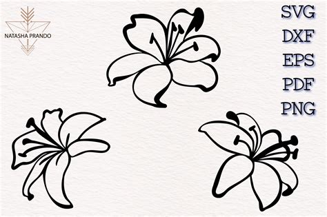 Lily Flower Svg Lily Svg Flower Svg Cut File For Silhouette Svg