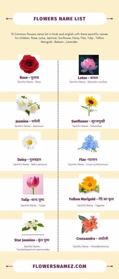 Scientific Names Of Flowers With Images Pdf Best Flower Site