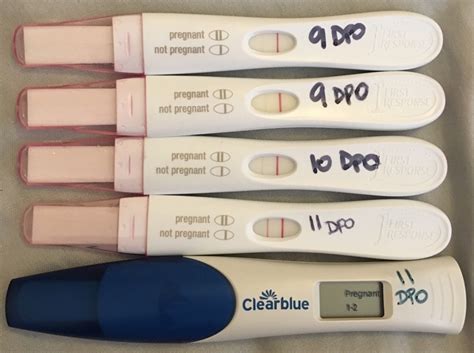 Line Progression Today 11dpo First Pregnancy First Bfp Ever I Bit
