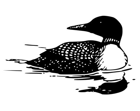 Loon Clipart Free Clipart Images Clipart Best Clipart Best