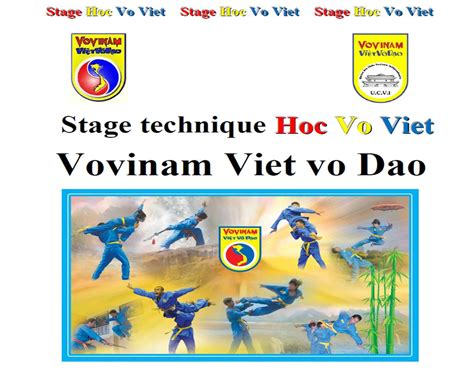 Base Vovinam Viet Vo Dao Techniques Malayenc