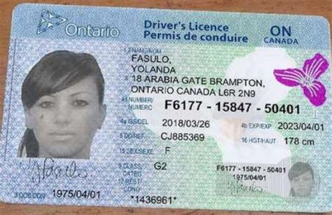 Buy Canadian Driver License Miami Posts