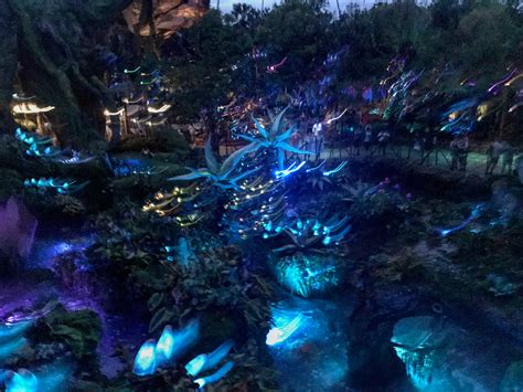 First Look At Disney S Pandora The World Of Avatar Theme Park Gambaran