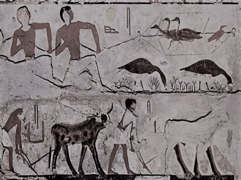 Seasonal And Predictable Agriculture In Ancient Egypt Brewminate A