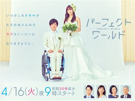 Perfect world is a romantic drama that is everything that you think it will be plus a very good performance by the lead female actor who (and her character) is also the highlight of the film. Perfect World (Japanese Drama) - AsianWiki