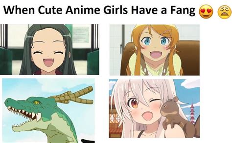 Anime Girls Meme Best Anime Memes With Anime Girls Mu