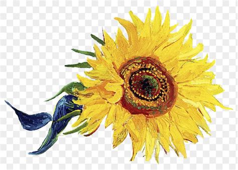 Van Gogh Flowers Arte Van Gogh Sunflower Png Authentic Design Nail