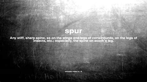 To spur something on is to get it going, to encourage it, to hasten it or stimulate. What does spur mean - YouTube