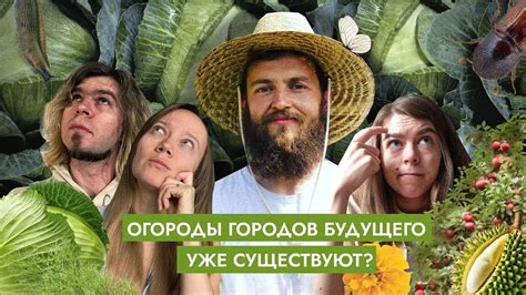 ОГОРОД БУДУЩЕГО БЕЗ УДОБРЕНИЙ И БОЛЬНОЙ СПИНЫ | Архитекторы-визионеры и ...