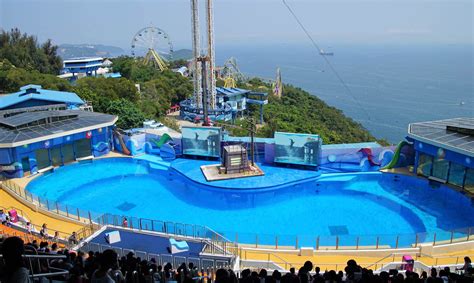 ‘empty The Tanks Hong Kongs Ocean Park At Centre Of Activists