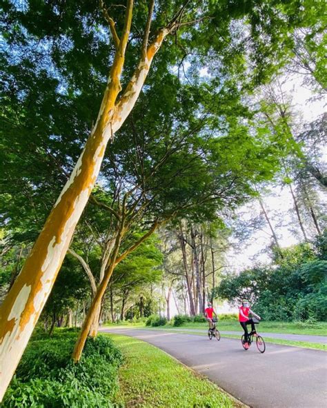 9 Long Distance Cycling Routes In Singapore For Your Next Weekend Out
