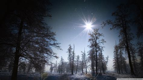 Fond Décran Lumière Du Soleil Forêt Nuit La Nature Ciel Neige