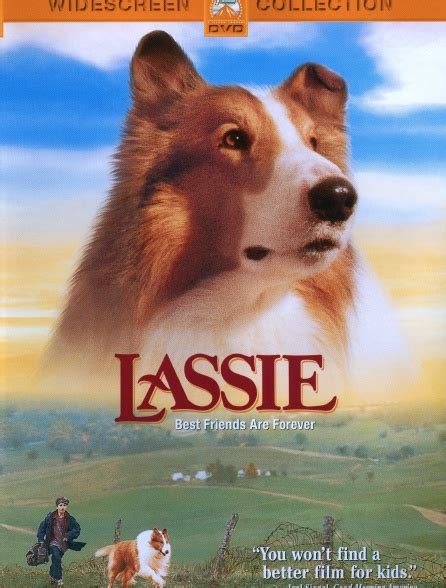 Les Nouvelles Aventures De Lassie En Streaming