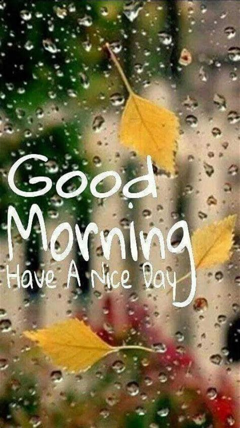 Good Morning Flowers With Rain Morning Kindness Quotes
