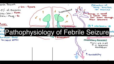 Pathophysiology Of Febrile Seizure Youtube