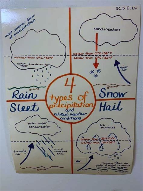 Science Worksheets Types Of Precipitation Teaching Re