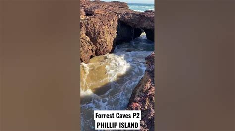 Travel Vlog Forrest Caves P2 Phillip Island 🌊 🐧 Youtube