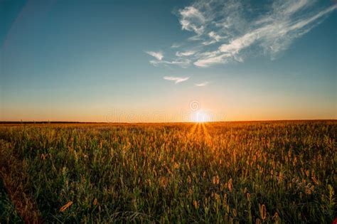 Sunset Sunrise Sun Over Rural Countryside Meadow Blue And Yellow