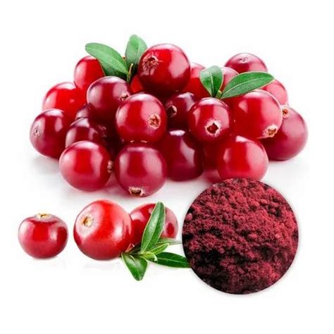 Cranberry Extract At Best Price In India