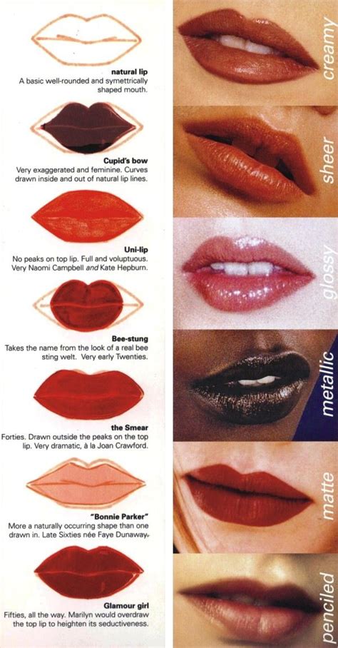 Lip Shapes Lip Tips Makeup Tips Lip Shapes