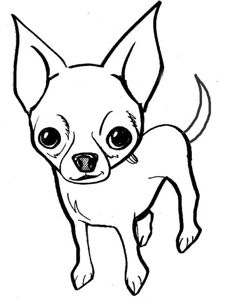 Dibujos De Un Chihuahua Para Colorear Para Colorear Pintar E Imprimir