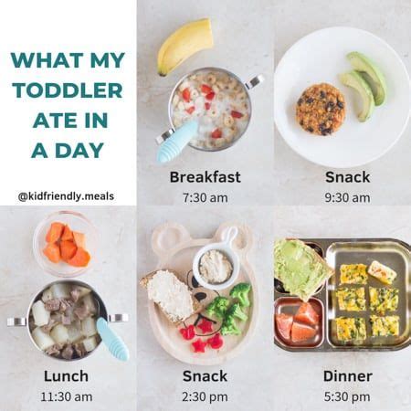 Exposing them to healthy food choices and being a positive role model can improve their relationship with food and help them have good nutrition and stay healthy. My Child Only Wants Snacks and Not Meals | Toddler wont ...