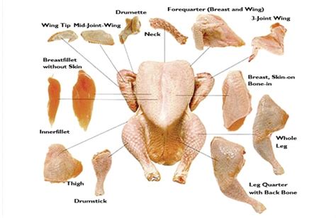 I don't have access to an oven, and i'd prefer to not add flour to my chicken, but if it's necessary, i'll do it. Frozen Chicken Parts ( Halal ) Quality Assurance - LAN Grupo