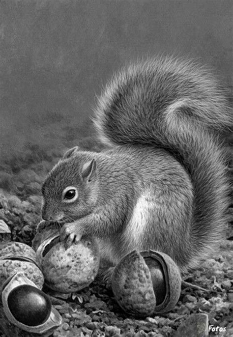 Tutorials guide how to draw a human with clear and easy steps. 50+ Easy Pencil Drawings of Animals That Look So Realistic