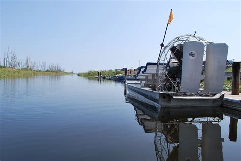 Fun Wildlife To Look For On Your Next Everglades Tour Newsments