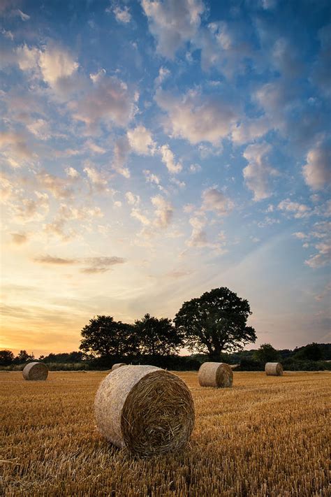 Stunning Summer Landscape Of Hay Bales In Field At Sunset Photograph By