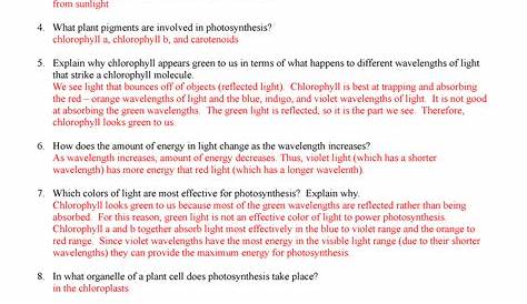 Photosynthesis Worksheet answers - Name:______________________ Date