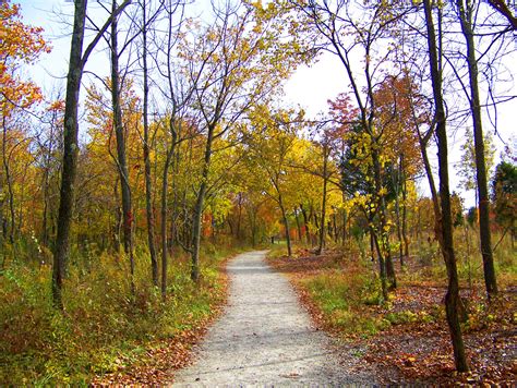 Autumn Path Free Stock Photo Public Domain Pictures