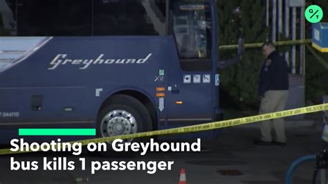 Watch Greyhound Shooting Kills 1 Passenger Bloomberg