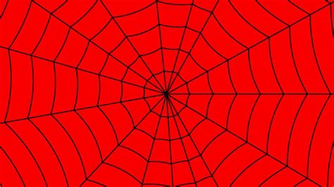 Spider web, spider web background, angle, animals png. 12Hrs of Spider Web on Ruby Red - YouTube