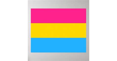 Pansexual Pride Pan Flag Poster Zazzle