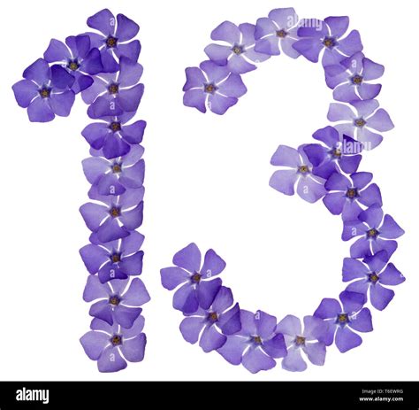 Numeral 13 Thirteen From Natural Blue Flowers Of Periwinkle Isolated