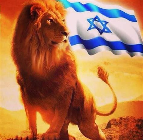Lion Of Judah Lion Of Judah Jesus Lion Of Judah Tribe Of Judah