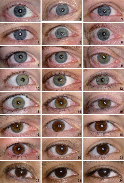 Eye Color Graphing